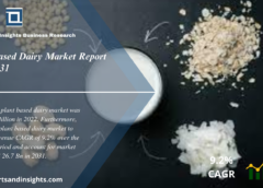 Plant Based Dairy Market Report 2024 to 2032: Industry Share, Trends, Size, Share, Growth, Demand and Forecast